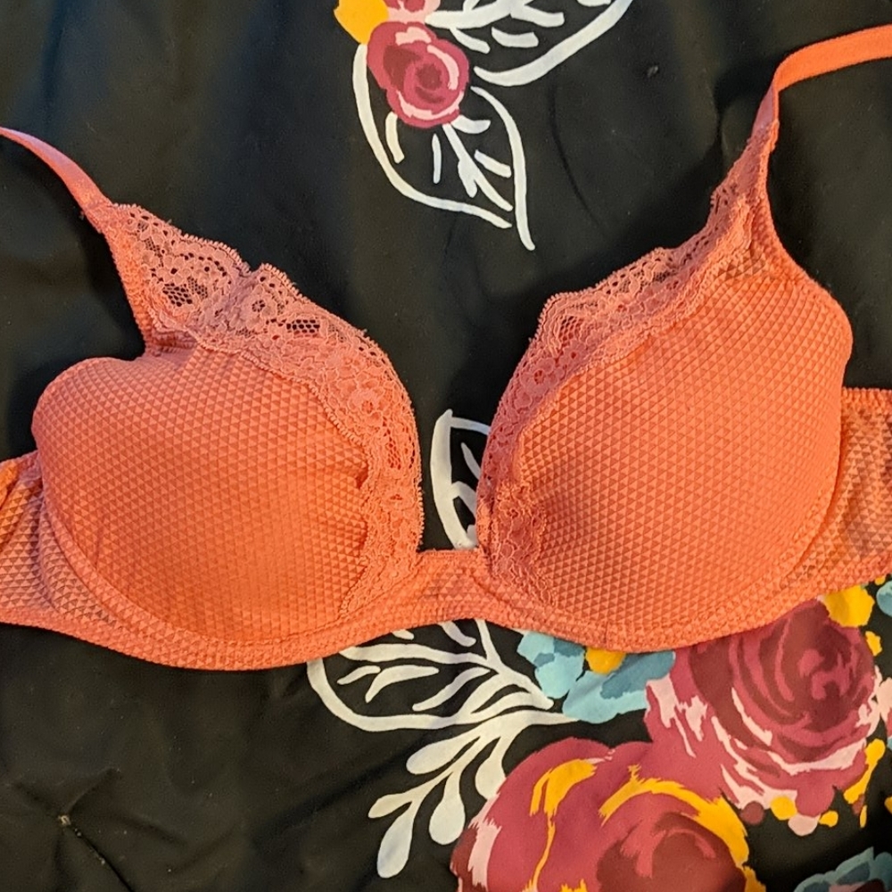 Pashionata bra